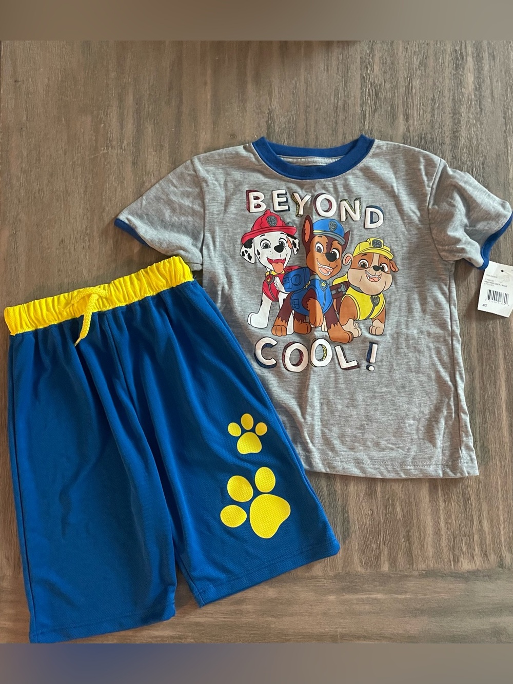 Paw Patrol Heather Grey Tee with Blue Trim